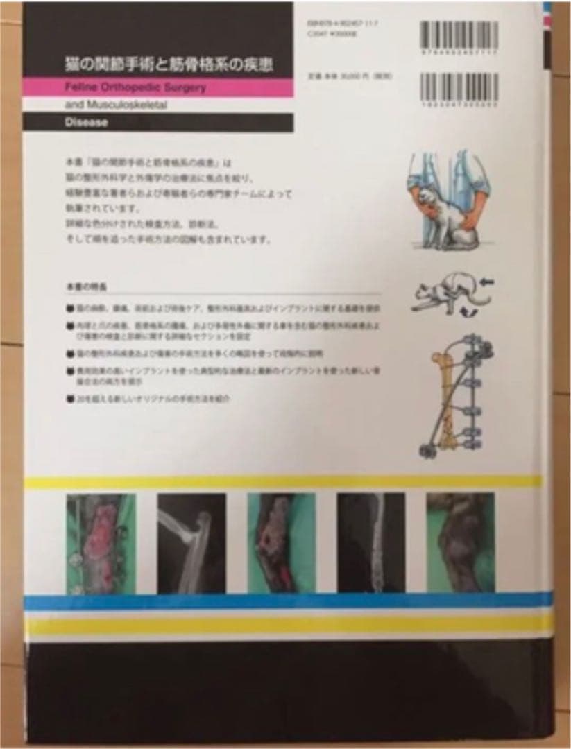 猫の関節手術と筋骨格系の疾患
