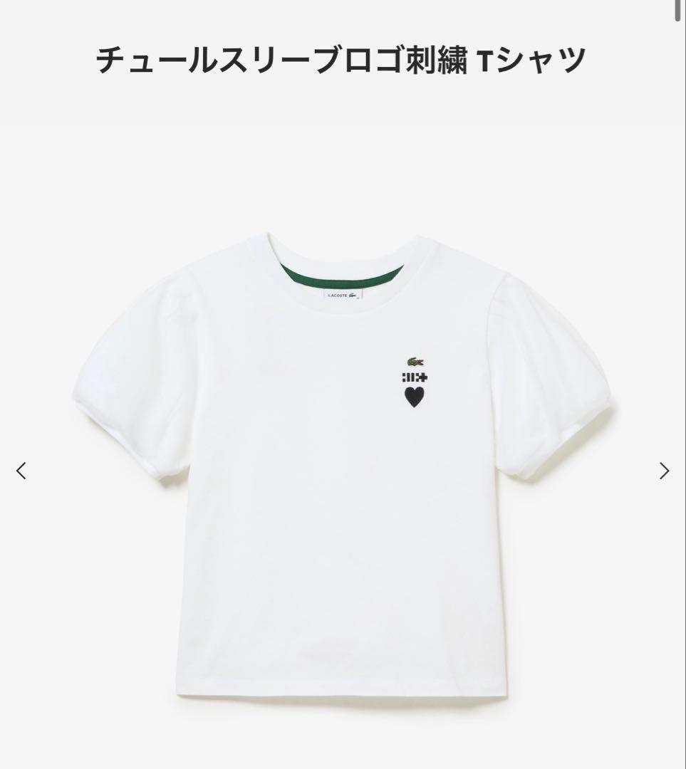 選べるカラー　ラコステ　LACOSTE 半袖Tシャツ 36