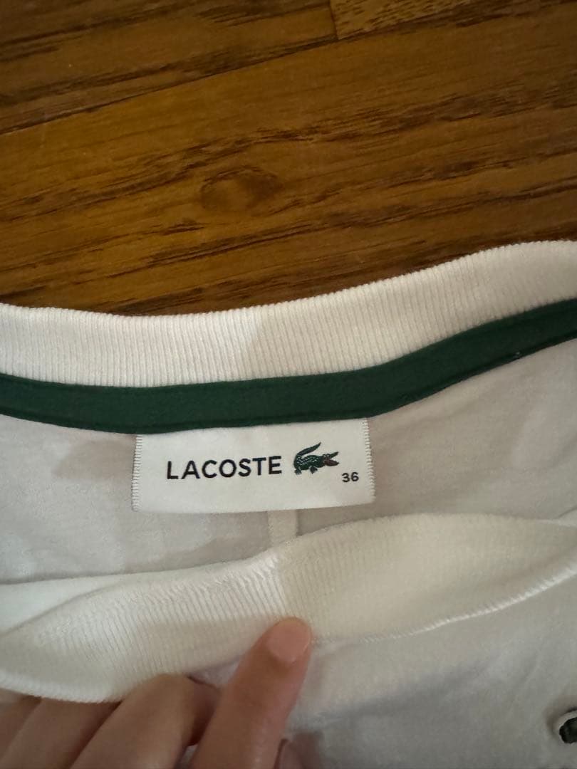 選べるカラー　ラコステ　LACOSTE 半袖Tシャツ 36
