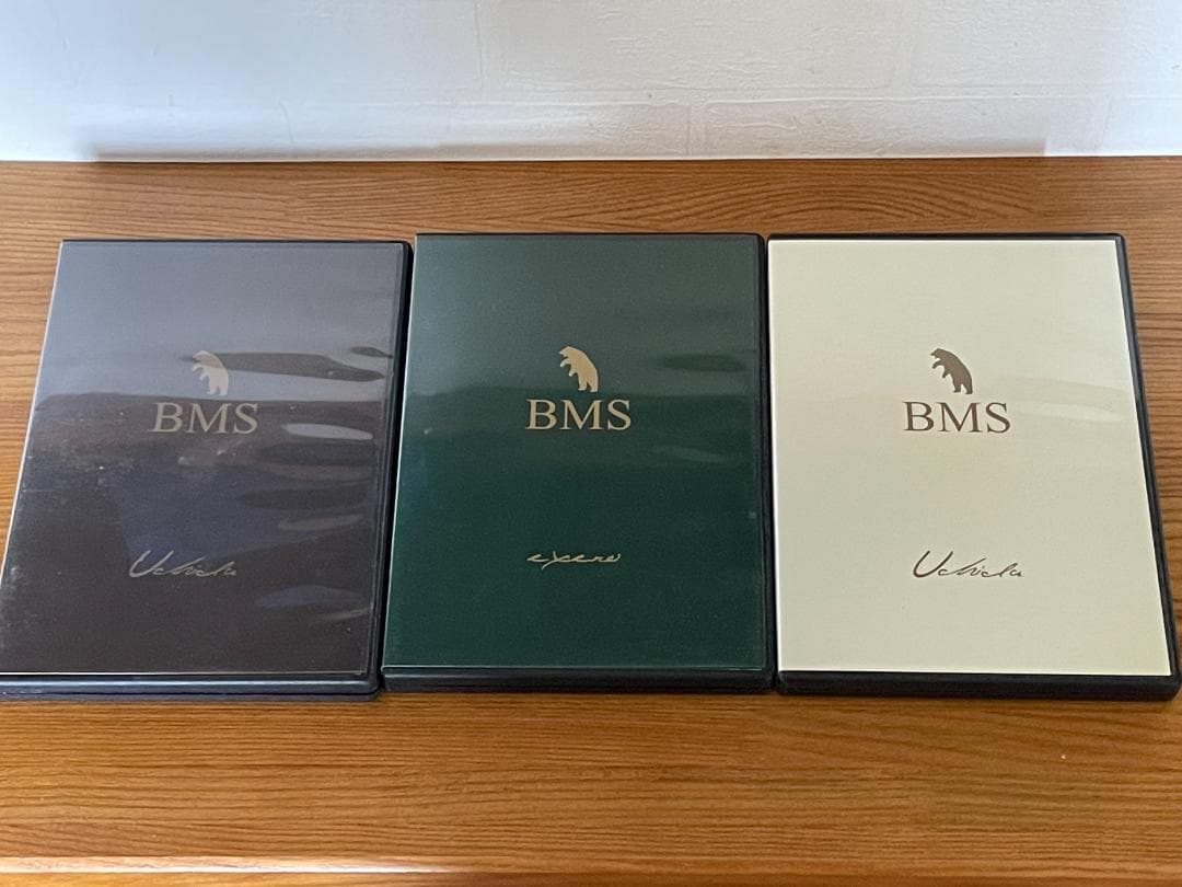 CMB BMS ベアマーケットストラテジートレード戦略