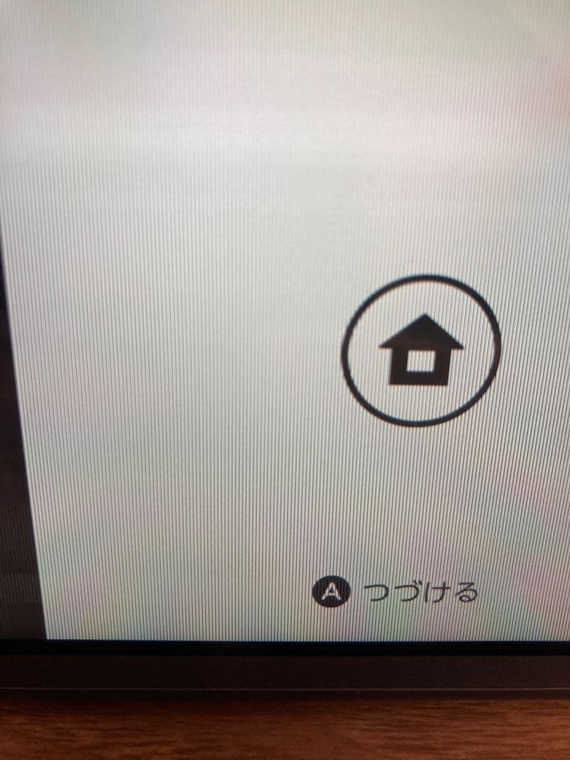 d*9様 Nintendo Switch Lite グレー 本体