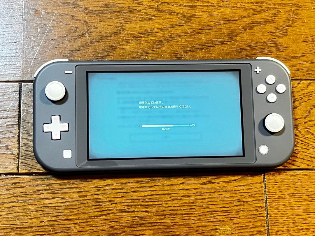 【美品】Nintendo Switch Lite グレー 箱AC付 動作確認済