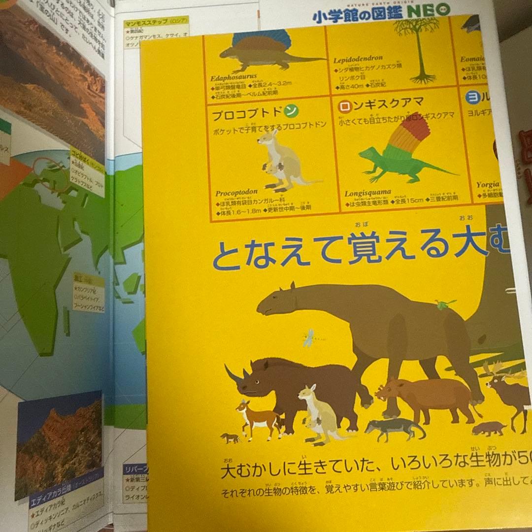 小学館の図鑑 NEO おまとめセット
