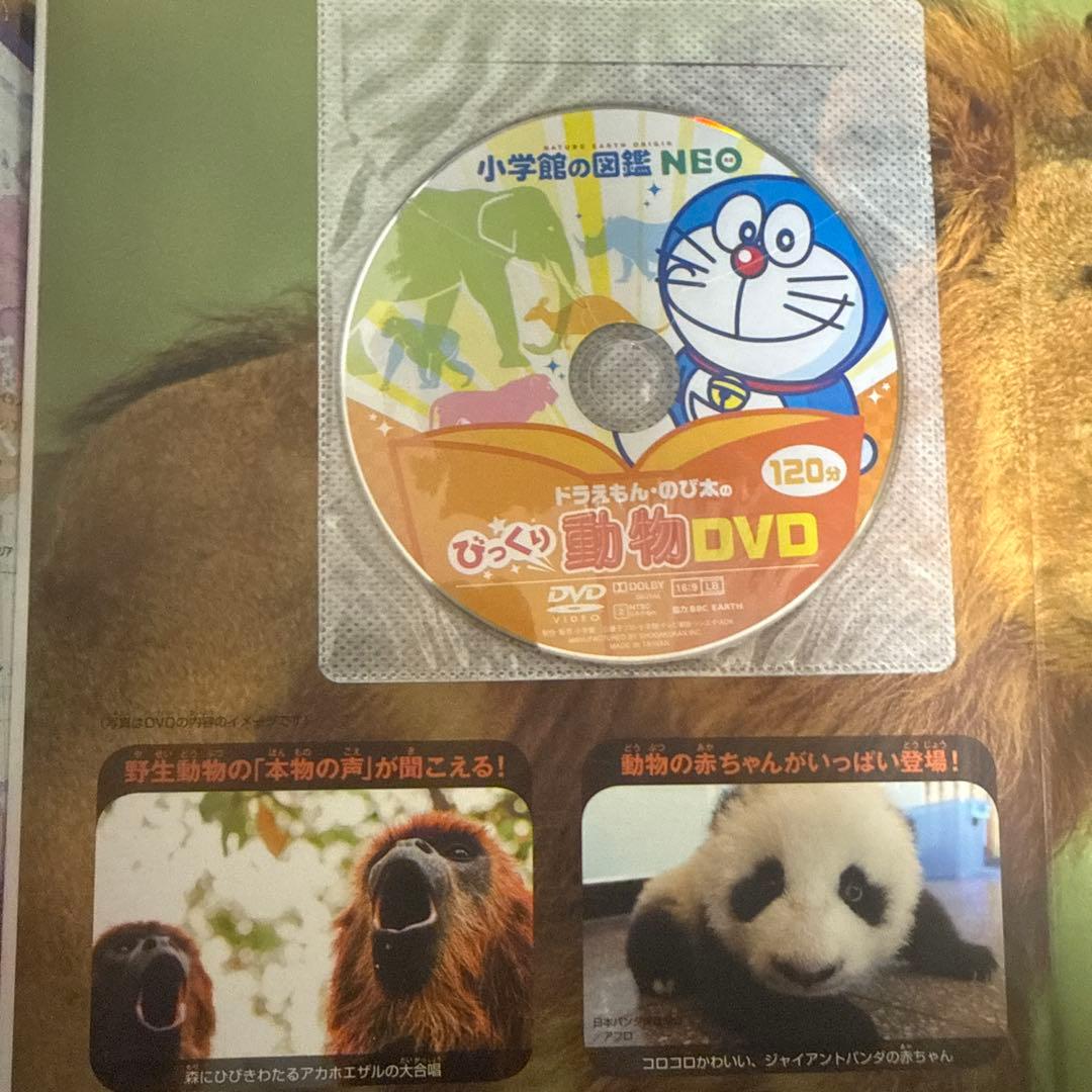 小学館の図鑑 NEO おまとめセット