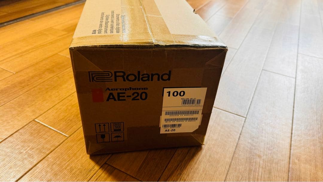 新品未開封 保証書付きRoland Aerophone AE 20 ローランド