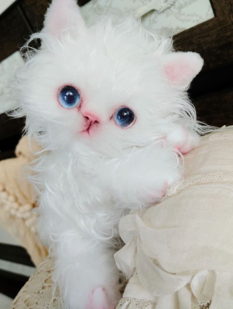 セルカーレックス子猫♡キラちゃん♡癖っ毛♡アートドール♡ぬいぐるみ♡