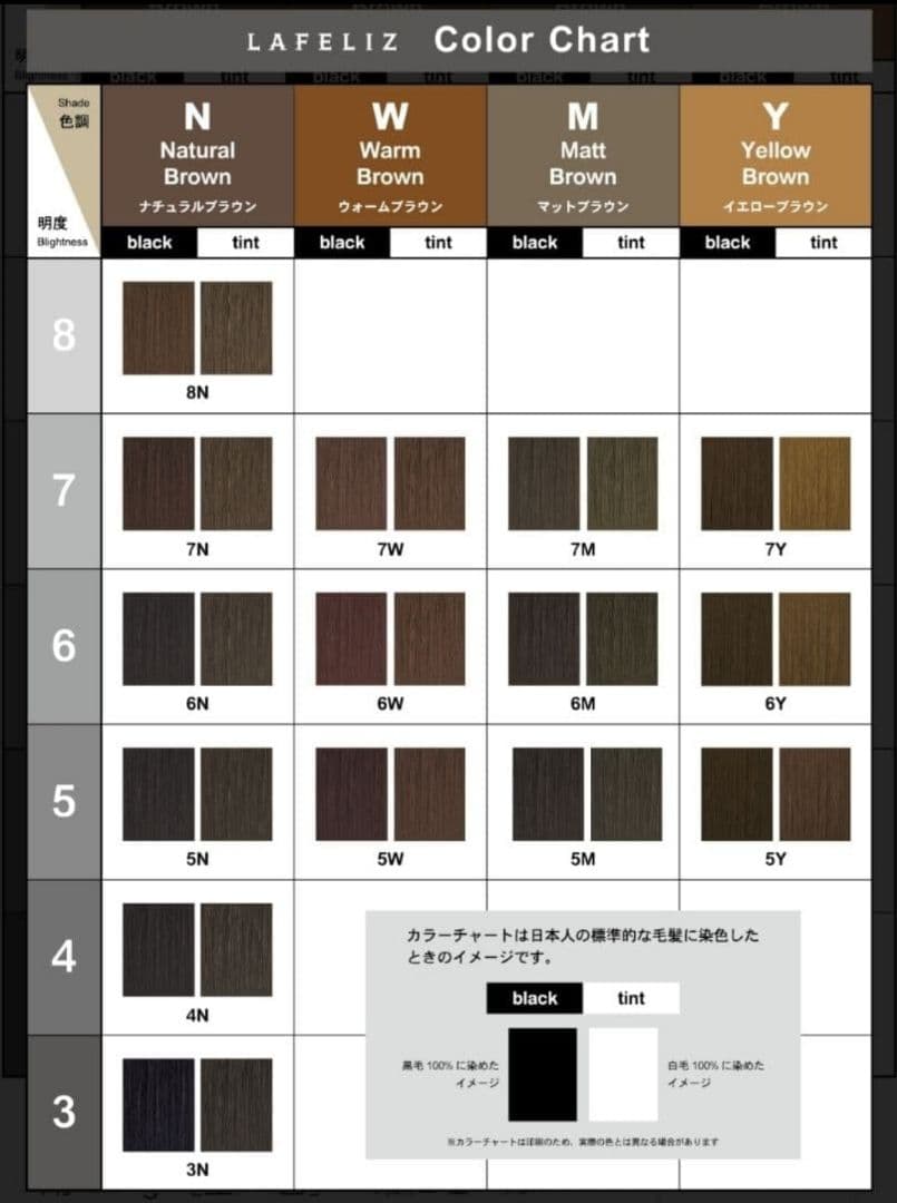 ラフェリーズ 6トーン&4トーン白髪染め黒染めカラー剤 40本セット