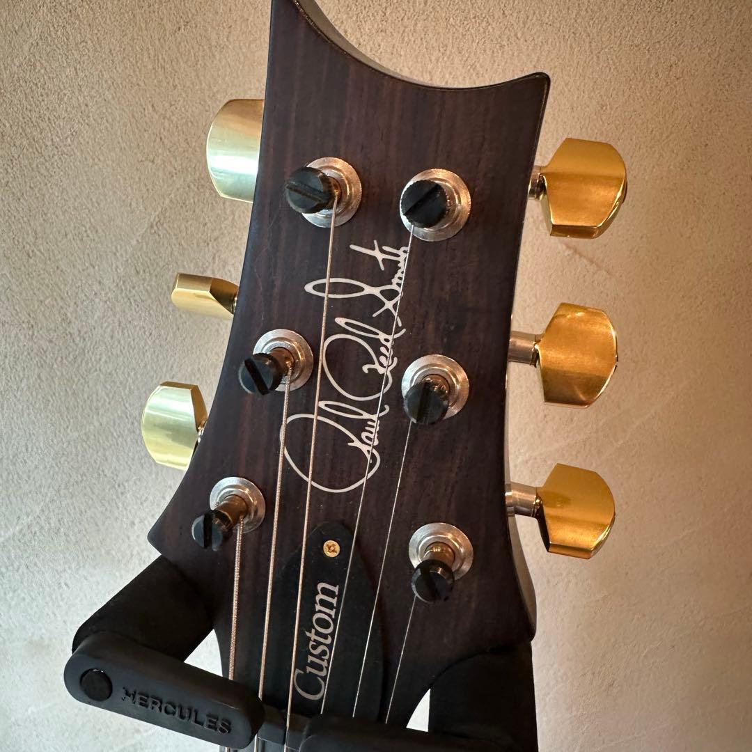 コ*ム様 PRS Custom 24-08 Wood Library 10top