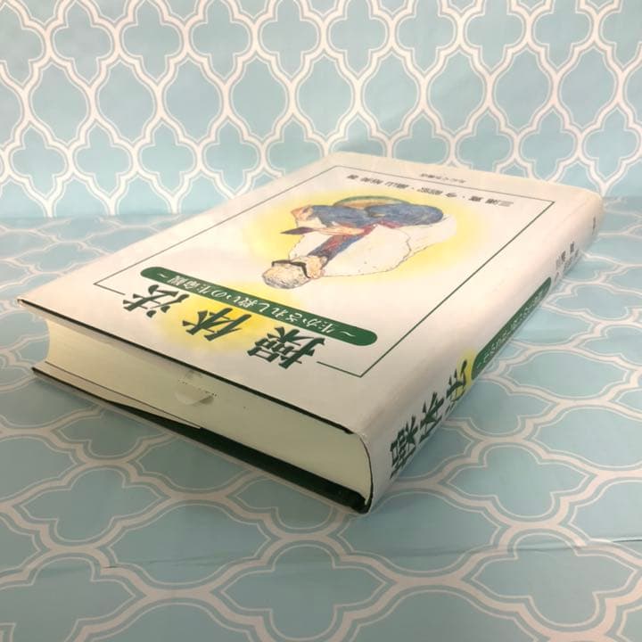 操体法——生かされし救いの生命観