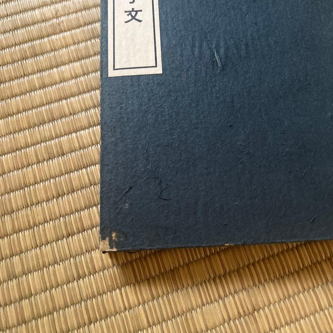孫過庭草書千字文　上田桑鳩　木耳社