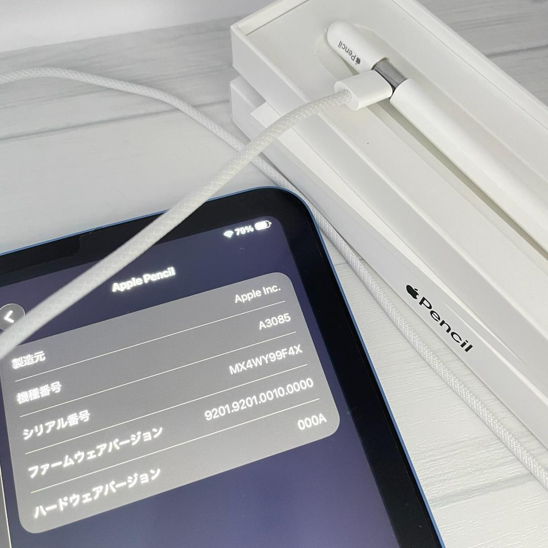 保証あり【ほぼ未使用】Apple Pencil USB-C 替え芯セット