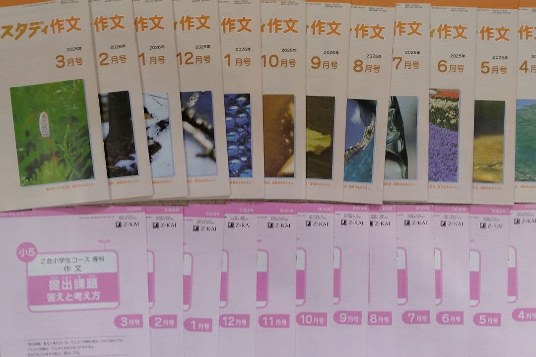 Z会 小5 エブリスタディ 公立中高一貫校適性検査 最新版2026年3月迄1年分