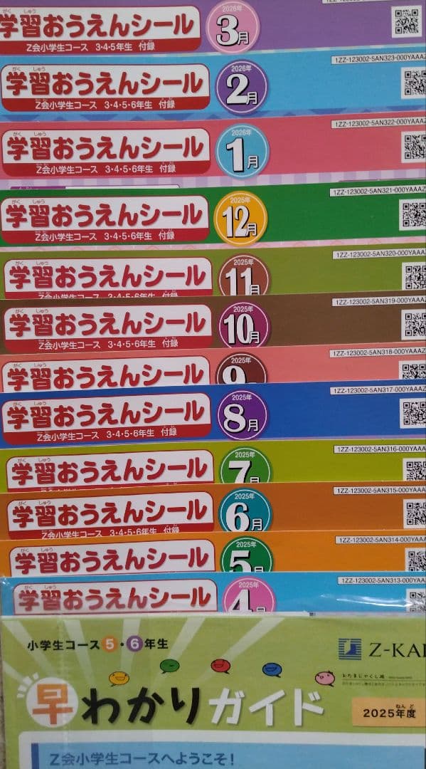 Z会 小5 エブリスタディ 公立中高一貫校適性検査 最新版2026年3月迄1年分