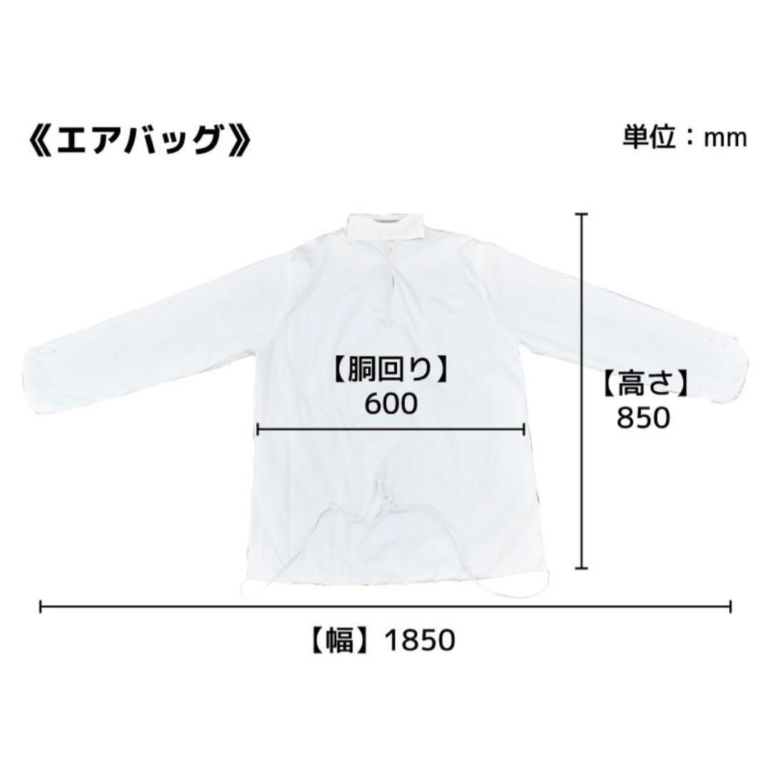 THANKO アイロンいら〜ず　ホワイト 箱付き