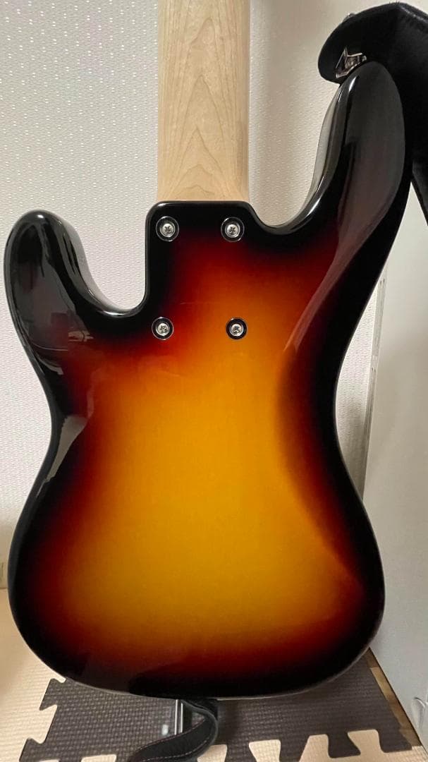 ベース Red House Guitars/ General PP/5
