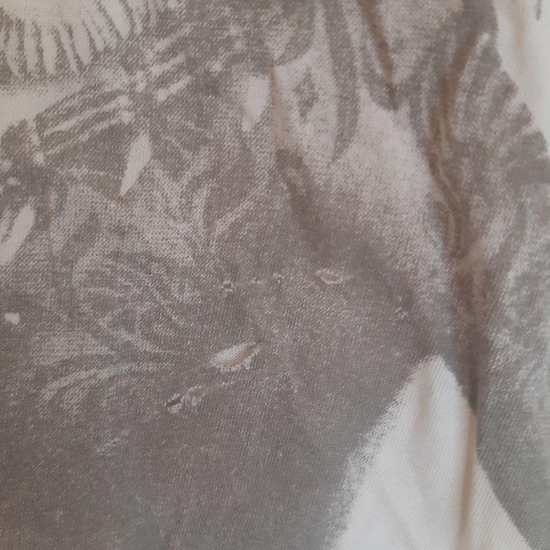 グラフィックプリント ホワイト Tシャツ
