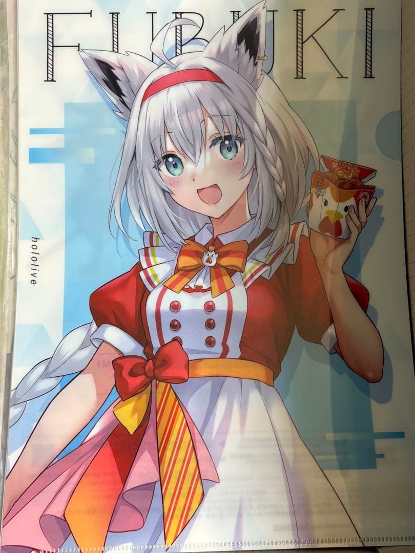 フォロワー