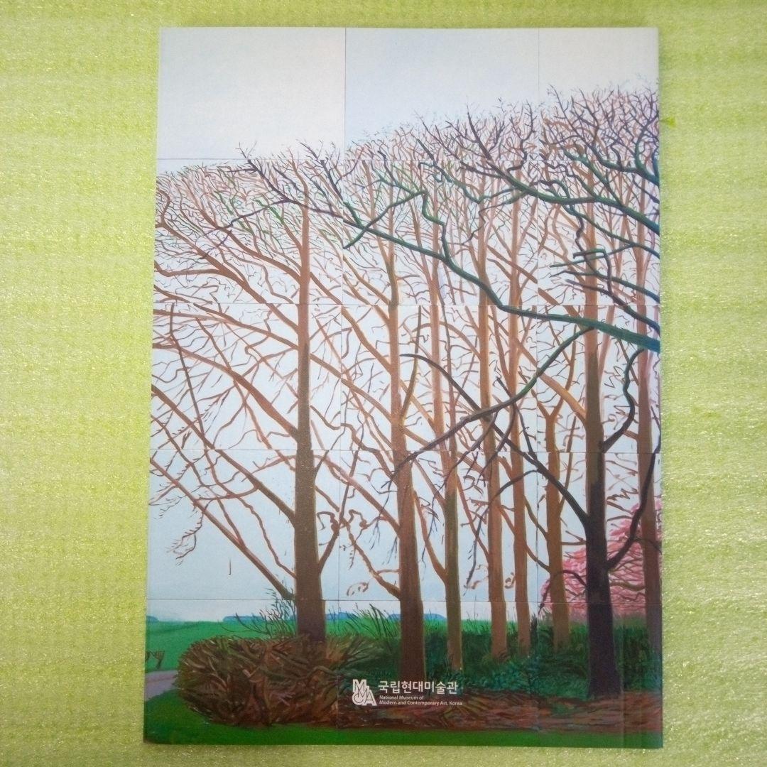 David Hockney　Bigger Trees Near Water　図録
