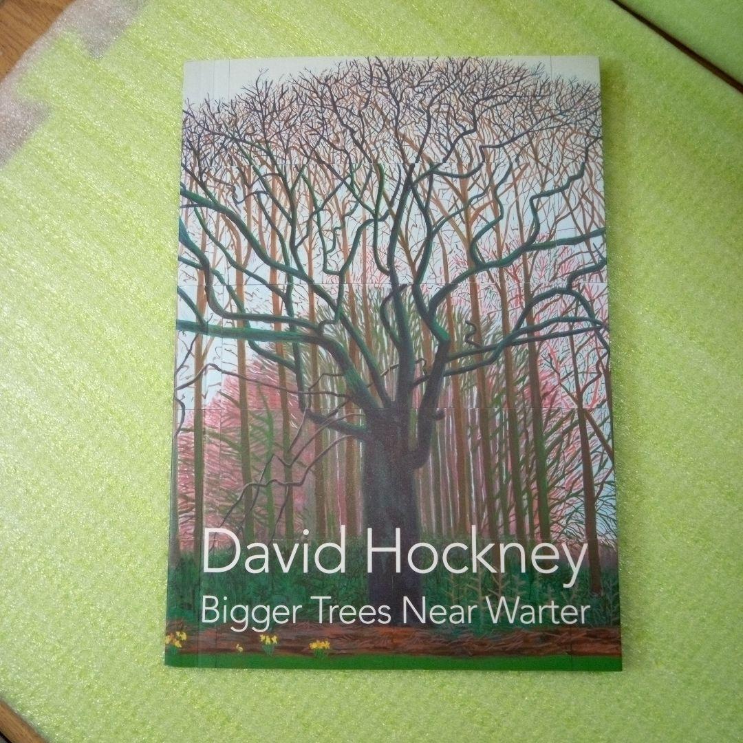 David Hockney　Bigger Trees Near Water　図録