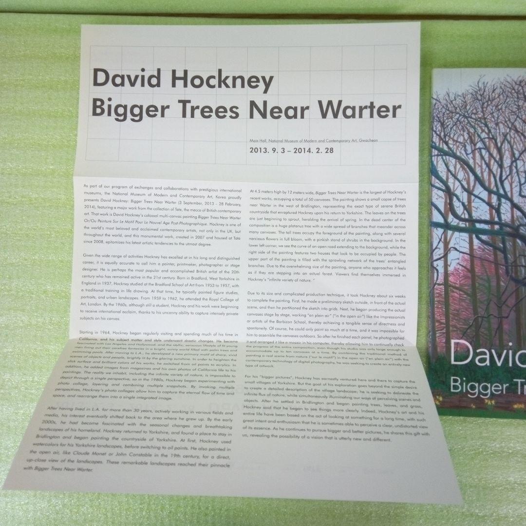 David Hockney　Bigger Trees Near Water　図録