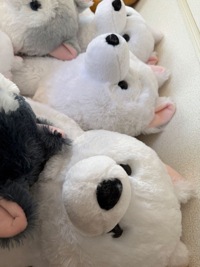 【まとめ売り】　くったりぬいぐるみ　8体セット　サモエド、ハスキー