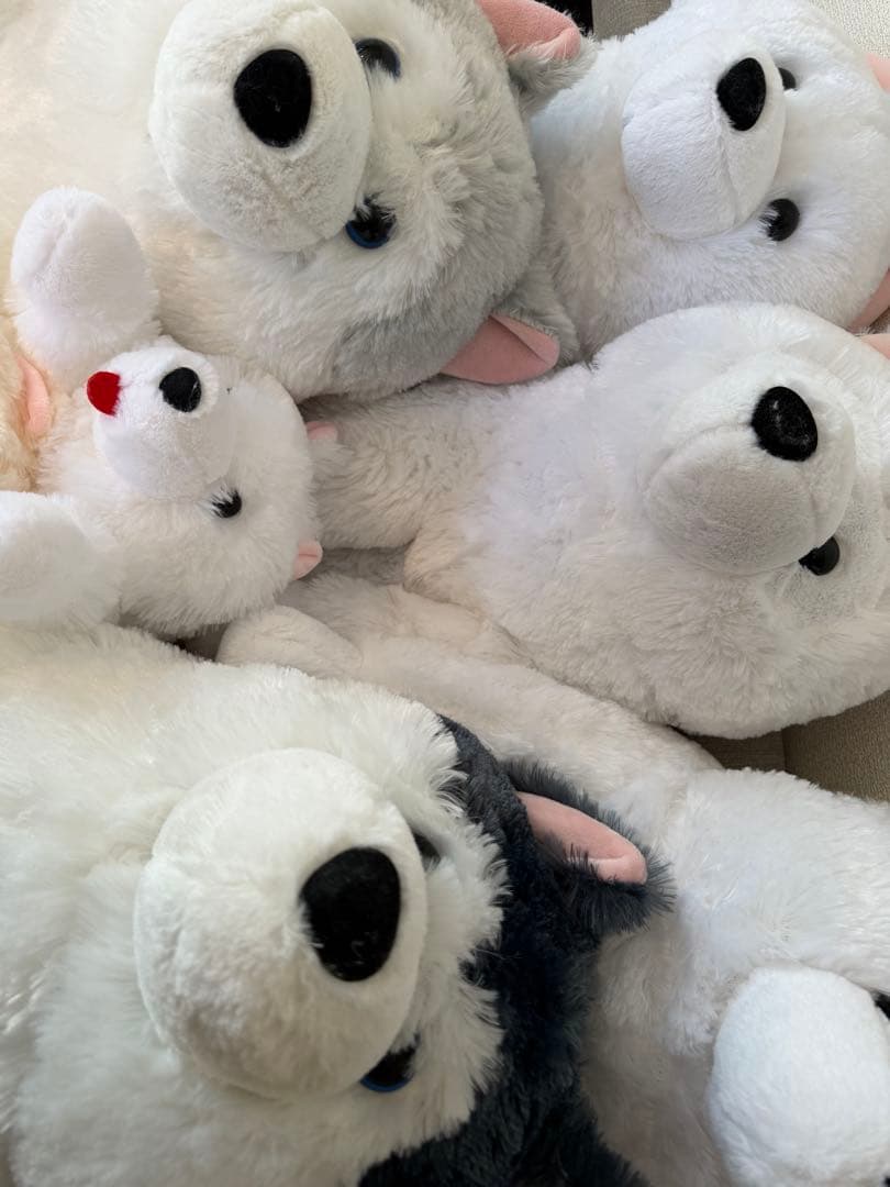 【まとめ売り】　くったりぬいぐるみ　8体セット　サモエド、ハスキー