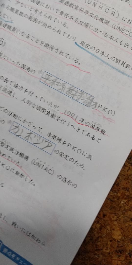 エブリスタディ アドバンスト 社会 要点集中プラン 小6