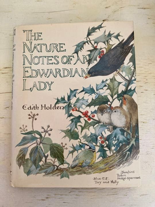洋書 イギリスアンティークThe Nature Notesクリスマス　宿木