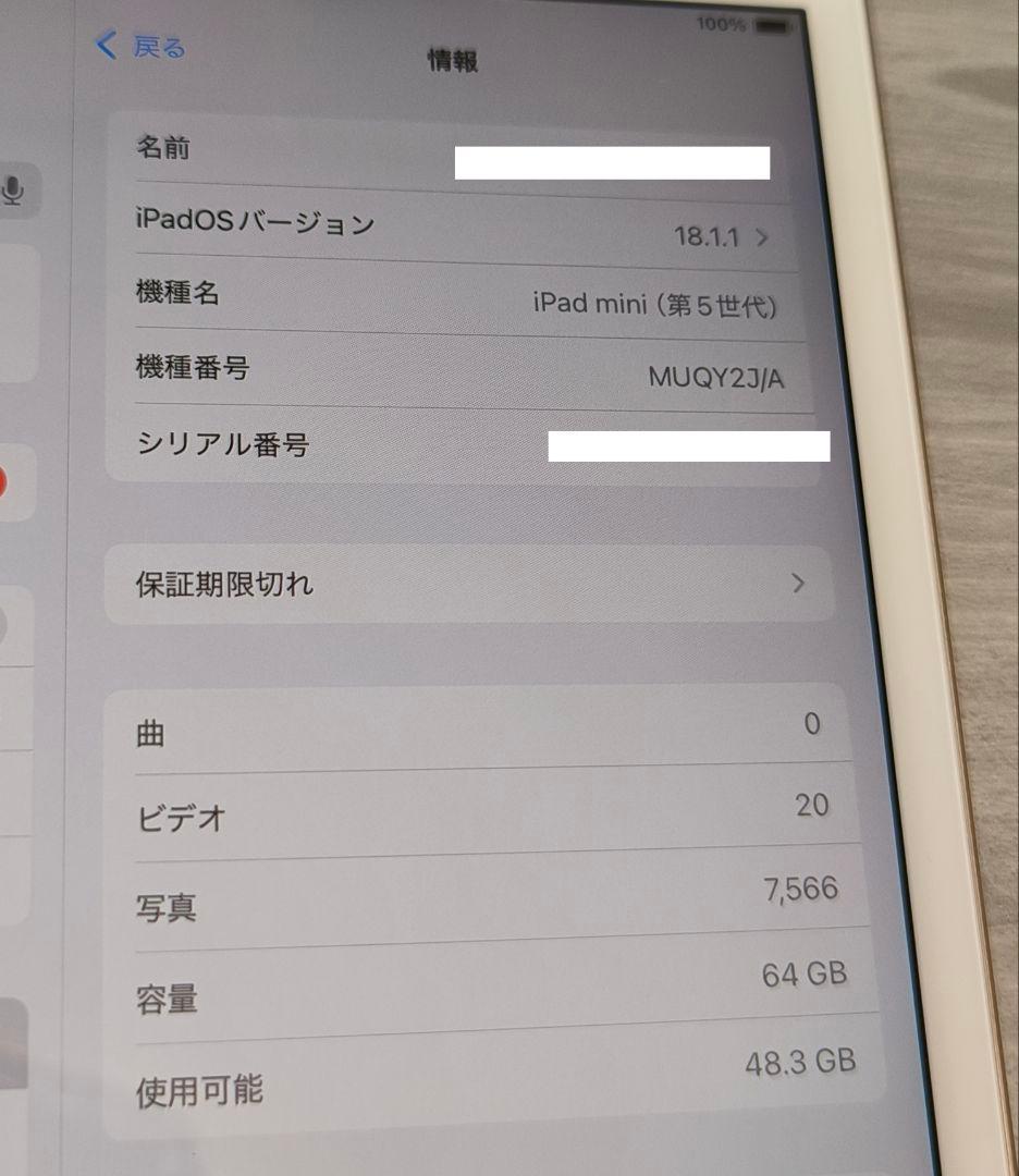 iPadmini5 64GB ゴールド