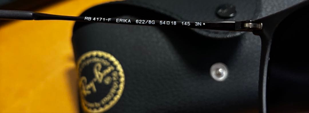 Ray-Ban ERIKAサングラス ケースRB4171-F