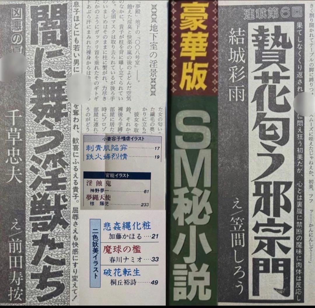 絶版】秘小説94年8月 千草忠夫 結城彩雨 　　　前田寿按 楡畑雄二 椋陽児 他