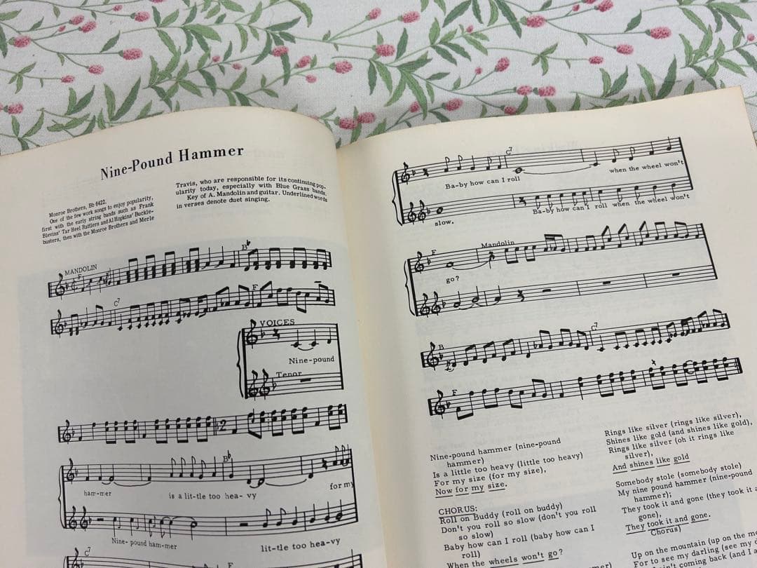 Old-Time String Band Songbook 中古品