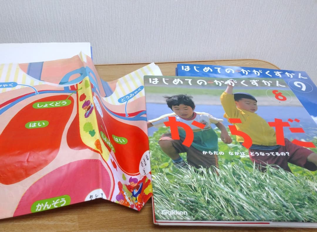学研 はじめてのかがくずかん 12冊セット