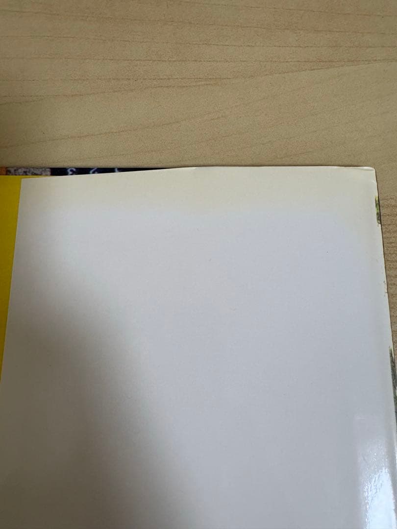 YELLOWS PRIVACY ’94 AKIRA GOMI 五味彬