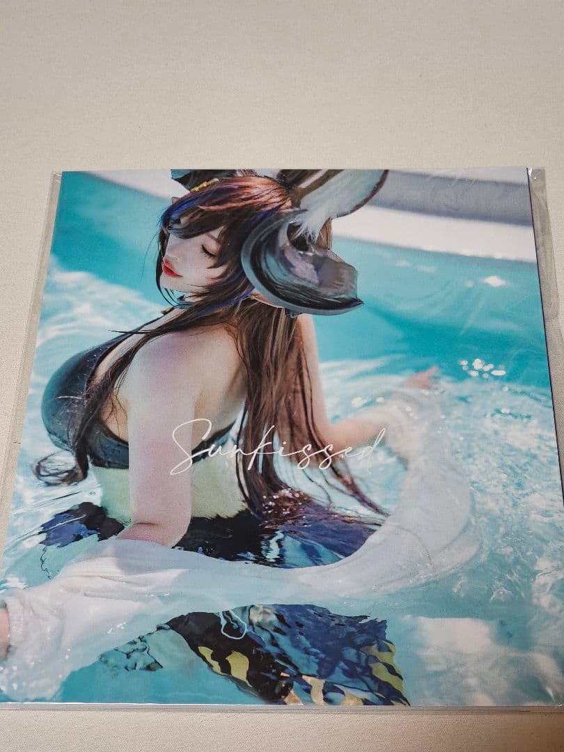 【即購入OK】みぃこ ガレヲン 水着コスプレ写真集Sunless c104