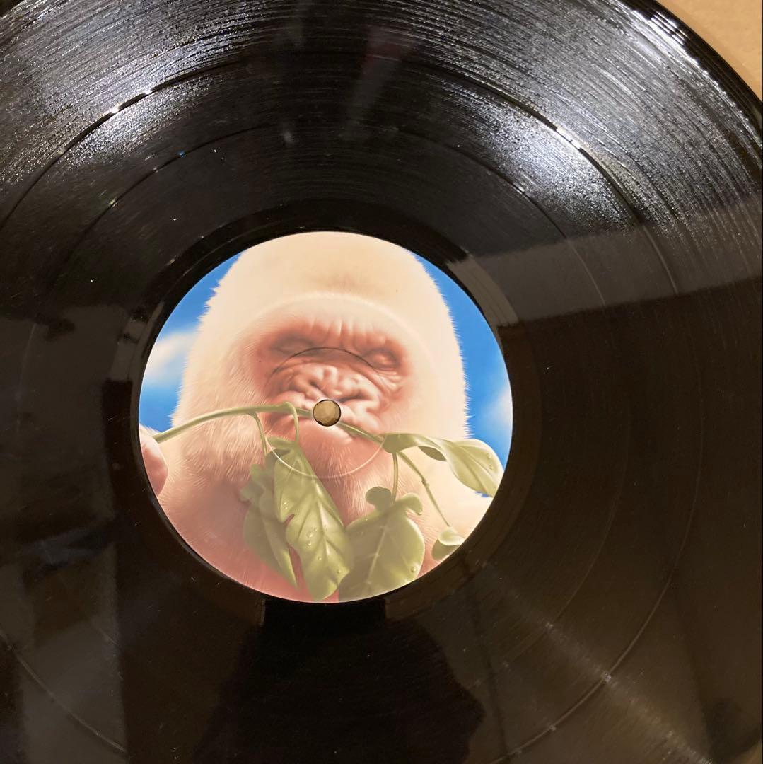 洋楽 Basement Jaxx Rooty UK ORIGINAL 2LP