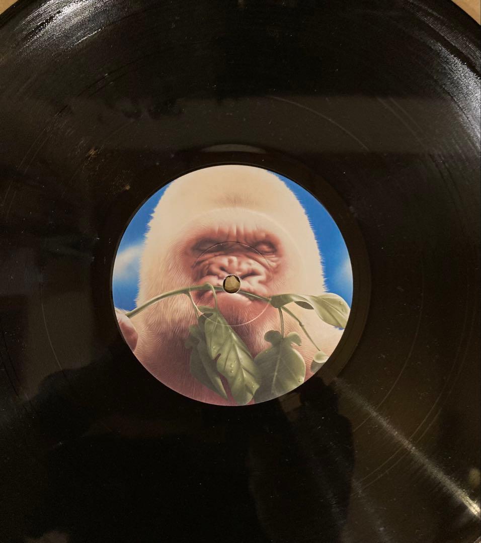 洋楽 Basement Jaxx Rooty UK ORIGINAL 2LP