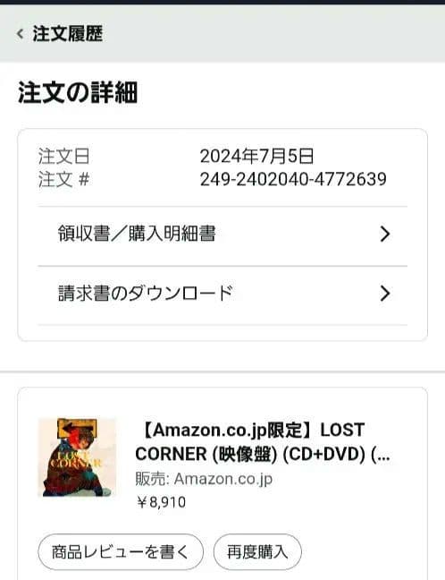 Amazon限定LOST CORNER 映像版クリアファイル 米津玄師