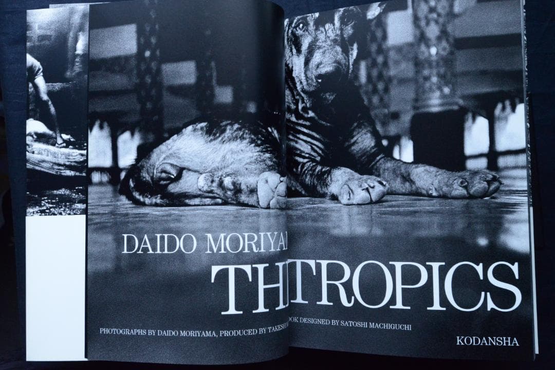 【THE TROPICS： DAIDO MORIYAMA】　森山大道　★新品