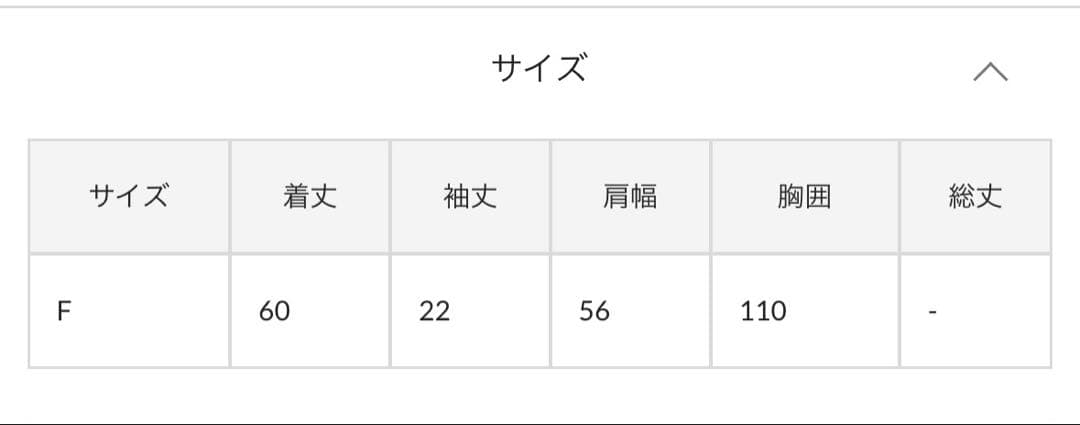 ★ゆきまつり★ウィム ガゼット GAZETTEロゴ 半袖Tシャツ 二枚