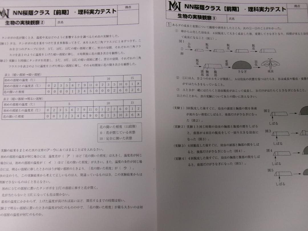早稲田アカデミー＊６年＊ＮＮ志望校別 前期・理科／桜蔭の理科・４回＊２０２３年