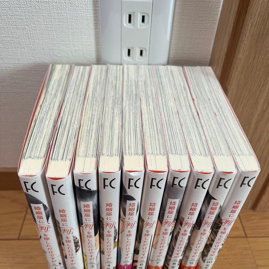 婚姻届に判を捺しただけですが 有生青春　全巻
