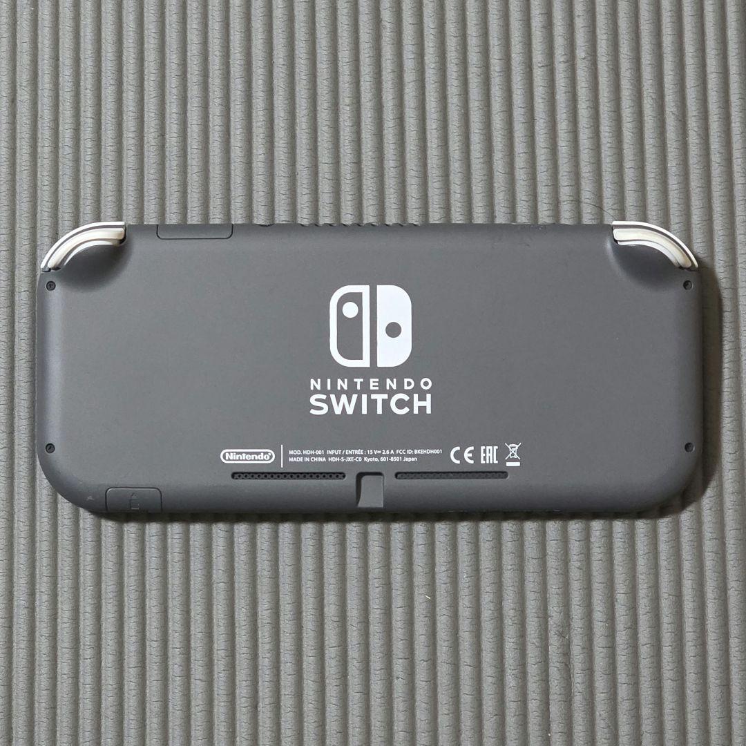 Nintendo Switch switch Lite