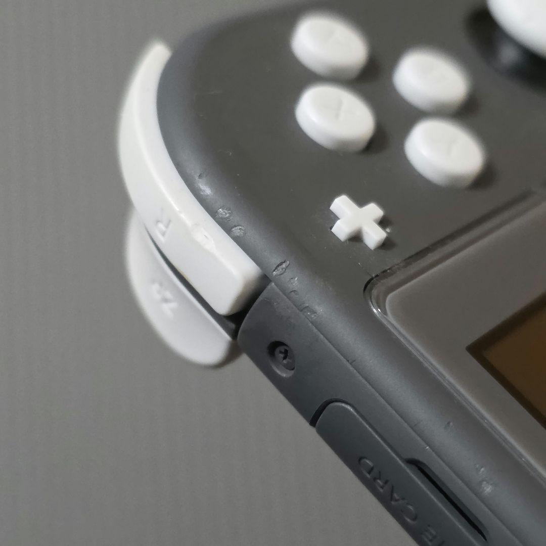 Nintendo Switch switch Lite