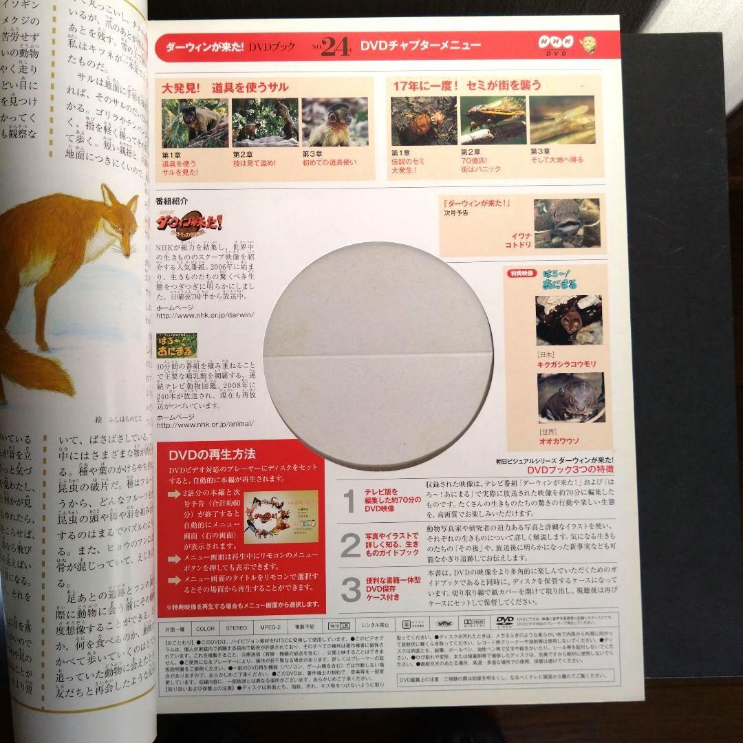 ダーウィンが来た! DVD付き冊子 1〜33巻 のうち32冊セット　1冊追加！