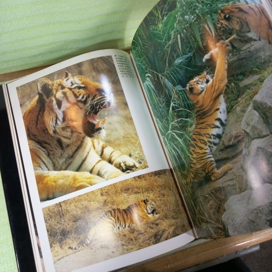 中國珍貴野生動物　中国珍貴野生動物　WILDLIFE OF CHINA　中国語？