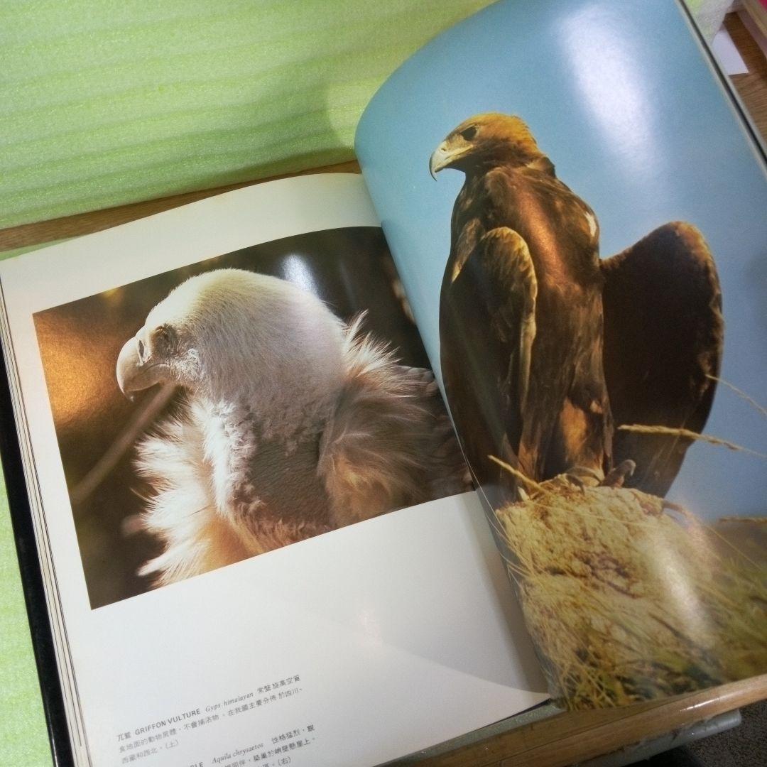 中國珍貴野生動物　中国珍貴野生動物　WILDLIFE OF CHINA　中国語？