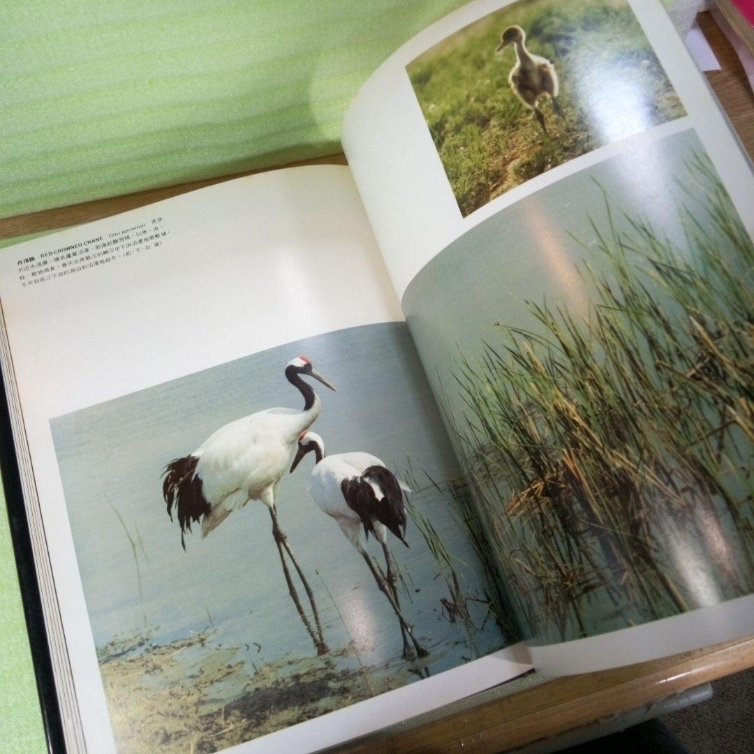 中國珍貴野生動物　中国珍貴野生動物　WILDLIFE OF CHINA　中国語？