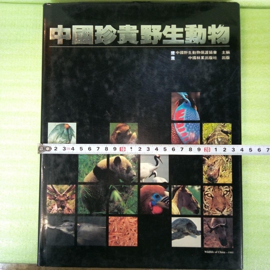 中國珍貴野生動物　中国珍貴野生動物　WILDLIFE OF CHINA　中国語？
