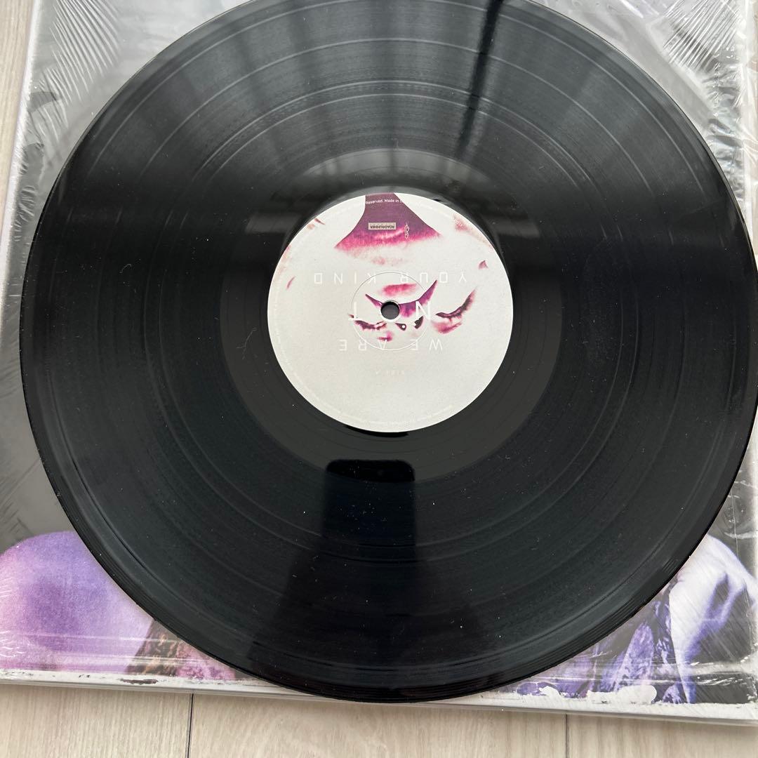 Slipknot WE ARE NOT YOUR KIND レコード
